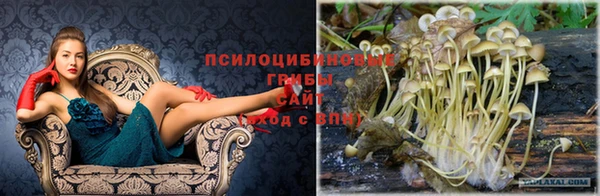 гидра Белая Холуница