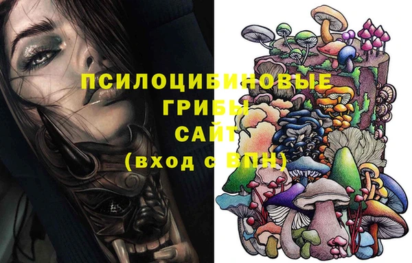 дурь Елизово