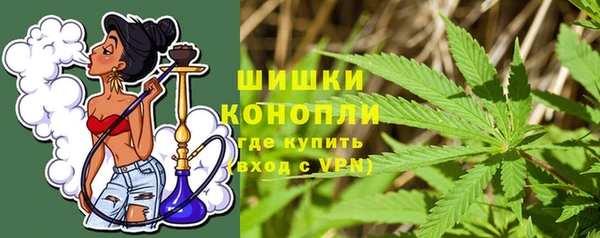 дурь Ельня
