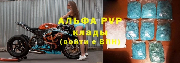 твердый Заводоуковск