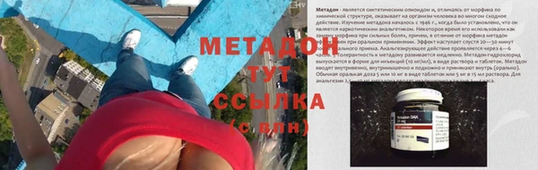 дурь Ельня