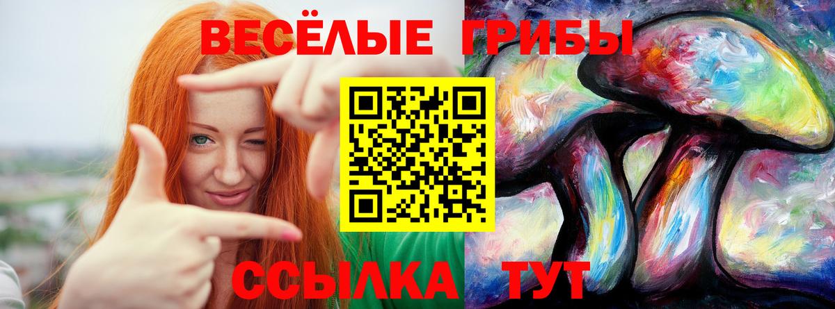 Псилоцибиновые грибы MAGIC MUSHROOMS  Псилоцибиновые грибы Cubensis  Вход с VPN  Ишимбай 